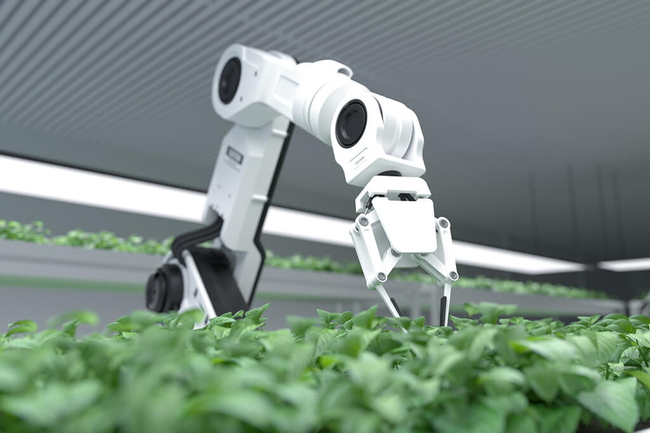 Konzept eines Landwirtschaftsroboters
