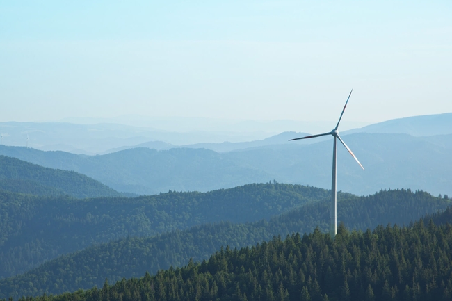 Windkraftanalage steht in grünem Umland