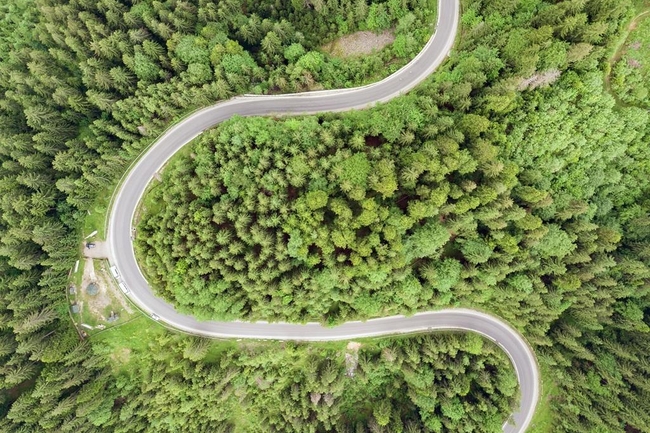 Eine geschwungene Straße führt durch einen Wald